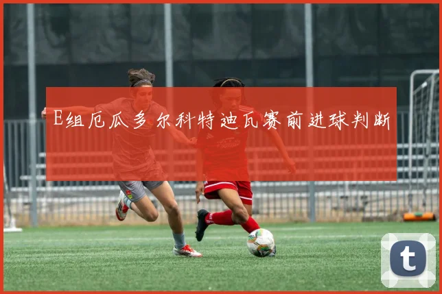 E组厄瓜多尔科特迪瓦赛前进球判断
