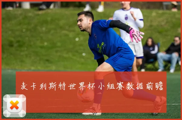 麦卡利斯特世界杯小组赛数据前瞻
