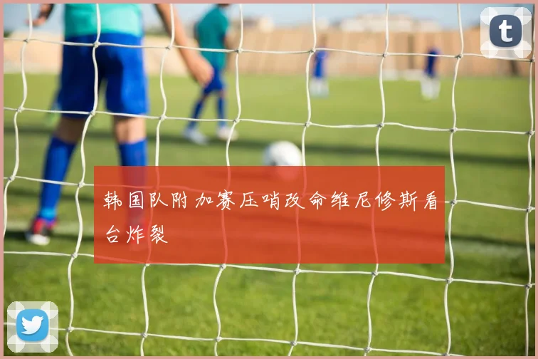 韩国队附加赛压哨改命维尼修斯看台炸裂