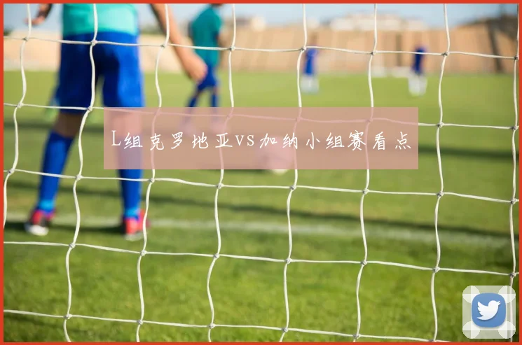 L组克罗地亚vs加纳小组赛看点