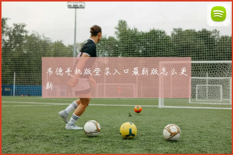 韦德手机版登录入口最新版怎么更新