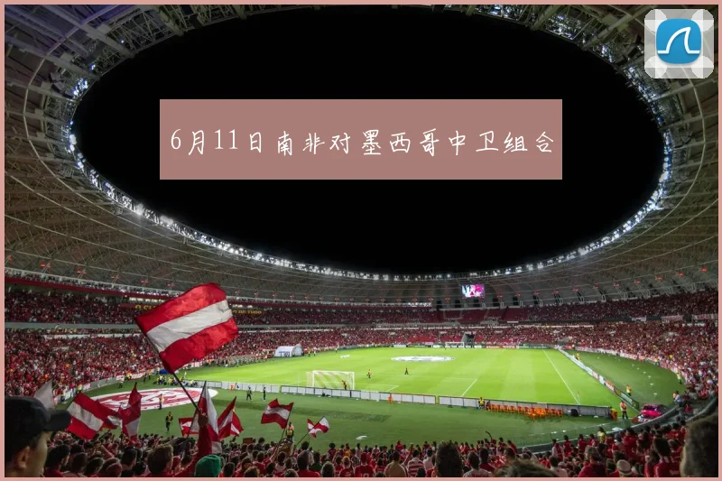 6月11日南非对墨西哥中卫组合